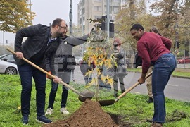Пловдив - джаз певицата Лиз Райт засади дръвче