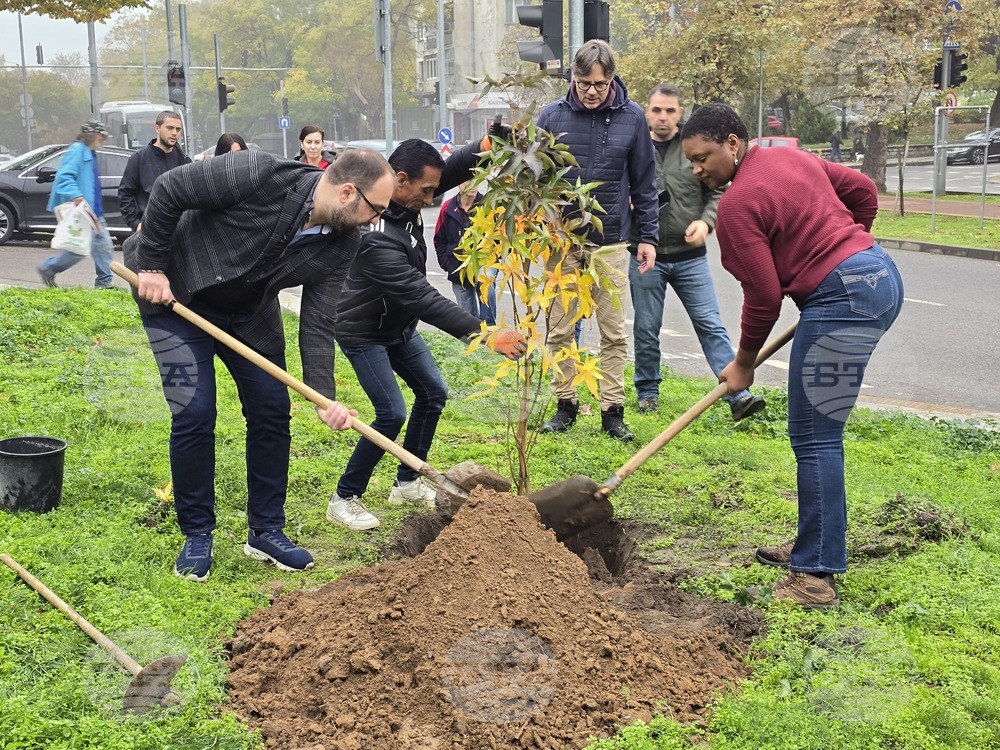 Пловдив - джаз певицата Лиз Райт засади дръвче