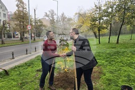 Пловдив - джаз певицата Лиз Райт засади дръвче