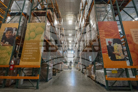 Government Shutdown DC Economy