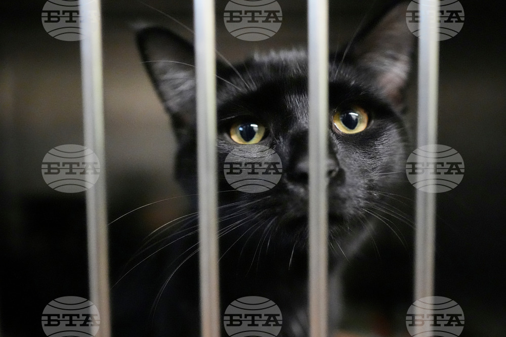 Government Shutdown Food Aid Pets