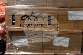 Government Shutdown DC Economy