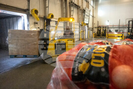 Government Shutdown DC Economy