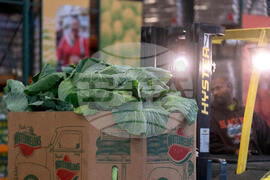 Government Shutdown DC Economy