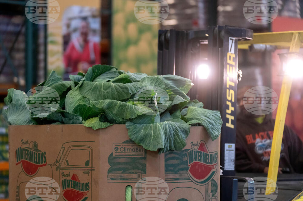 Government Shutdown DC Economy