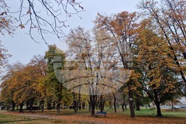 Пазарджик - парк "Стадиона" - есен