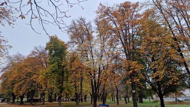 Прогноза за времето 