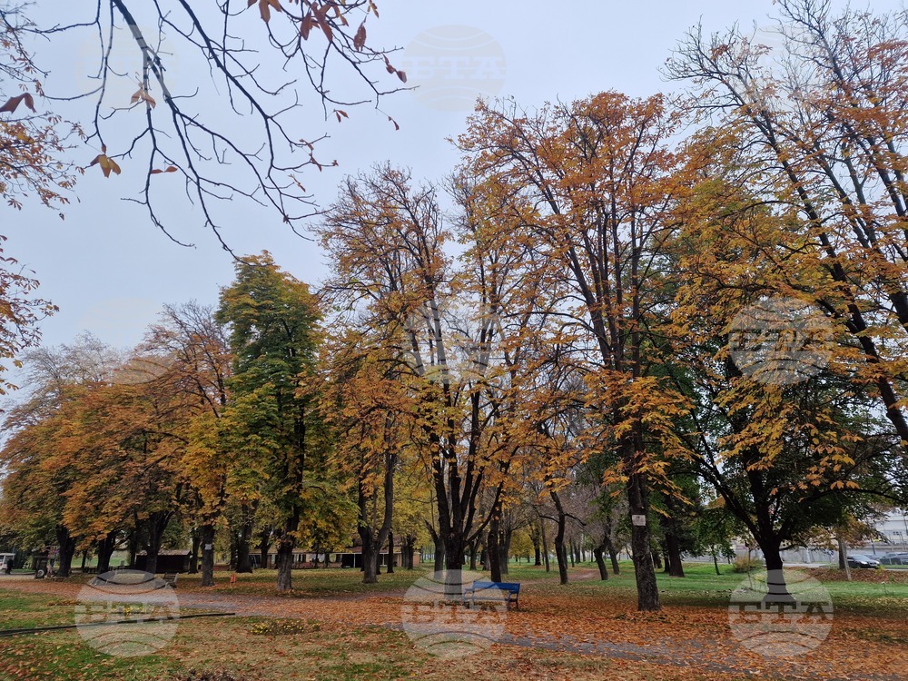 Прогноза за времето 