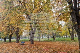 Пазарджик - парк "Стадиона" - есен