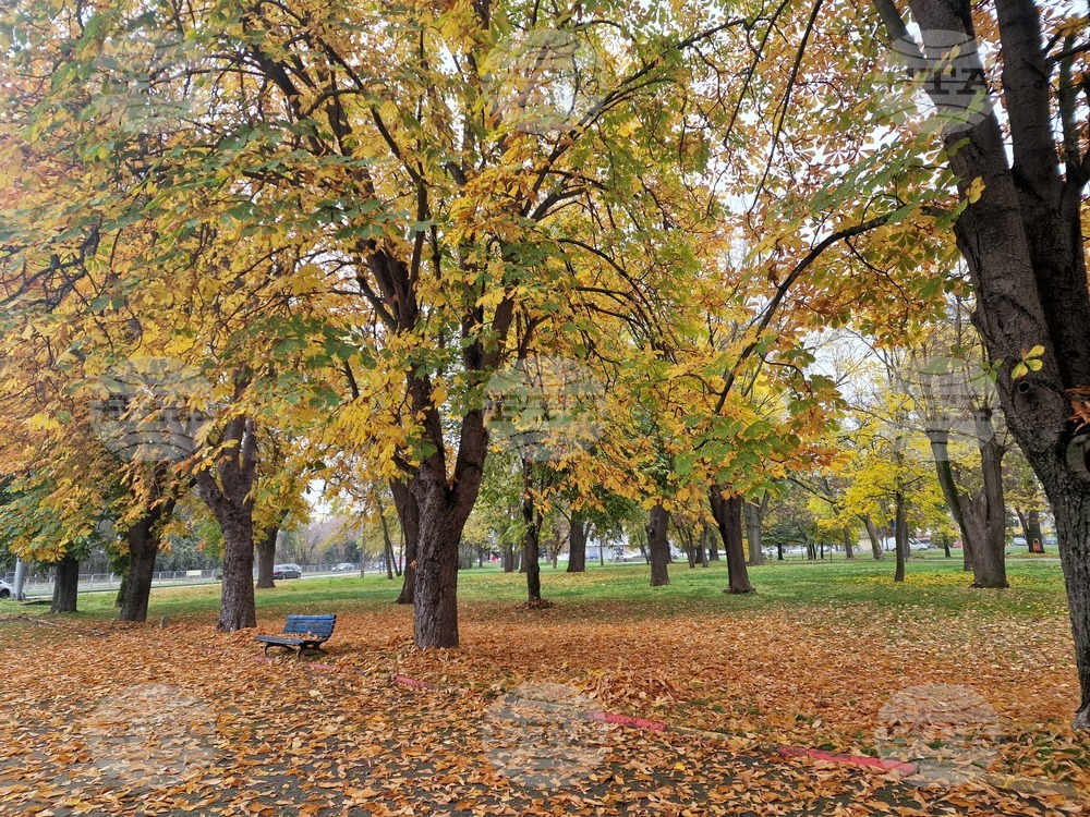 Прогноза за времето 