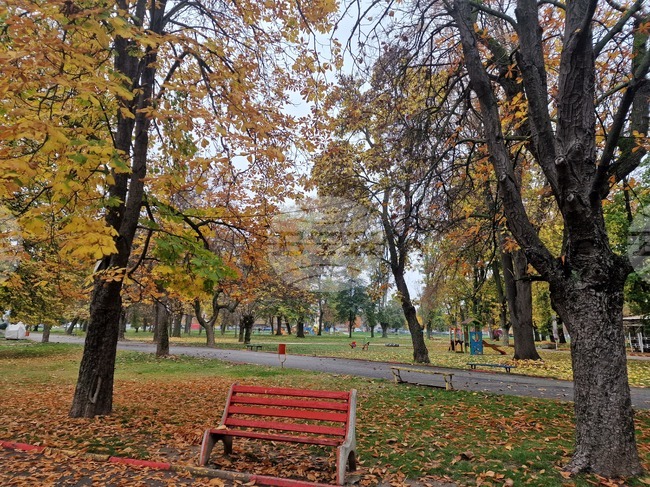 Пазарджик - Парк "Стадиона"