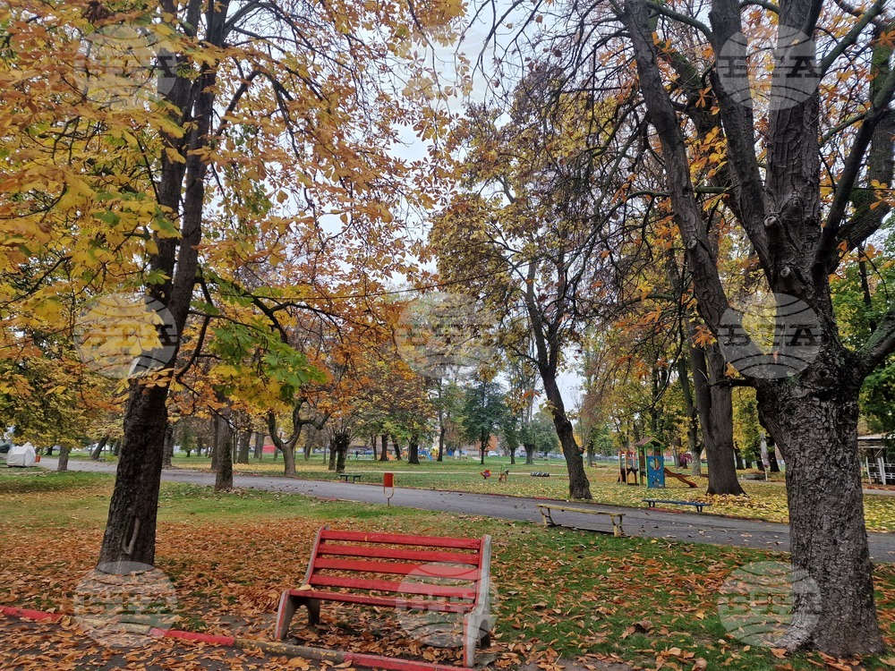 Пазарджик - парк "Стадиона" - есен