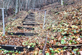 Трън - манастир "Св. Архангел Михаил" - храмов празник