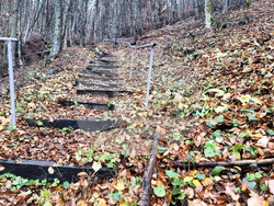 Трън - манастир "Св. Архангел Михаил" - храмов празник