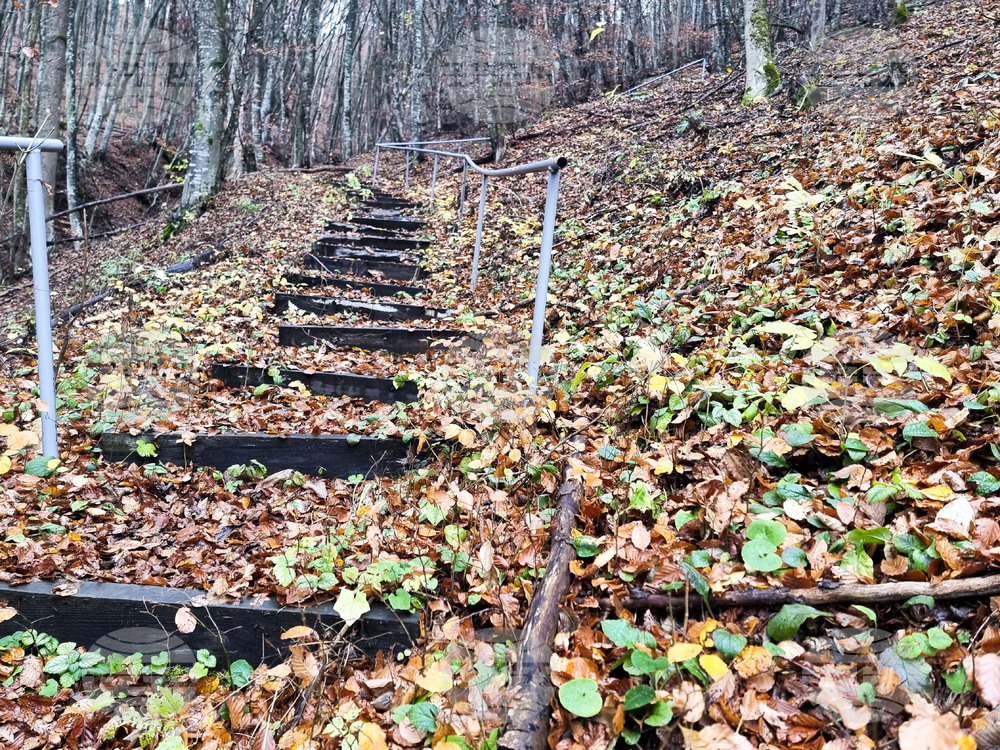 Трън - манастир "Св. Архангел Михаил" - храмов празник