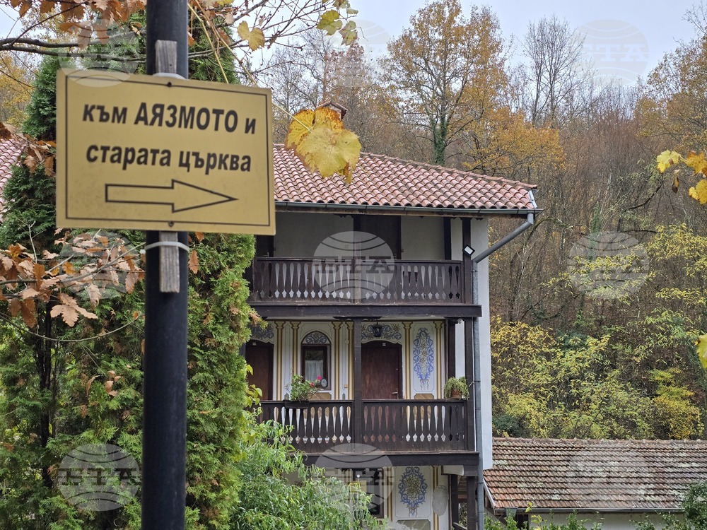 Чекотински манастир - празник - света литургия