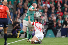 Ireland Japan Rugby