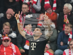 Germany Soccer Bundesliga