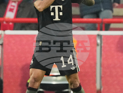 Germany Soccer Bundesliga