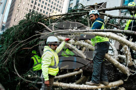 Rockefeller-Center-Christmas-Tree