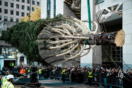 Rockefeller-Center-Christmas-Tree