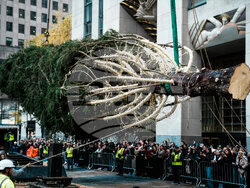 Rockefeller-Center-Christmas-Tree