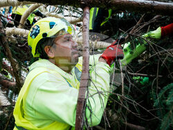 Rockefeller-Center-Christmas-Tree
