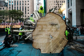 Rockefeller-Center-Christmas-Tree
