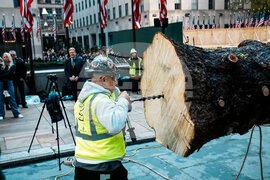 Rockefeller-Center-Christmas-Tree