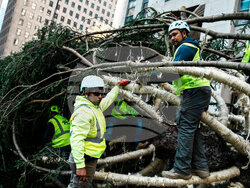 Rockefeller Center Christmas Tree