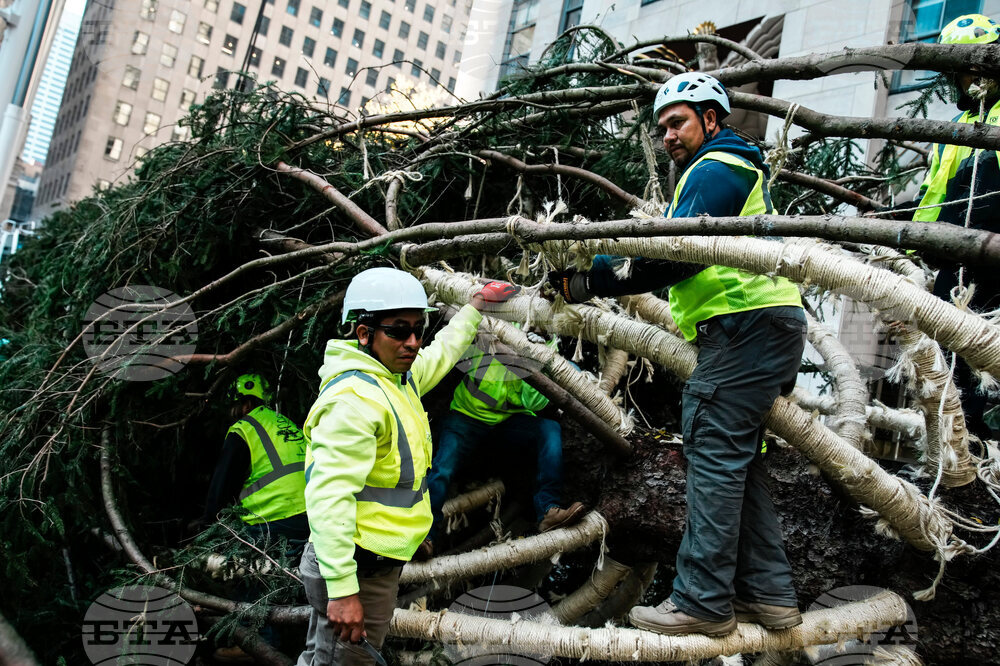 Rockefeller Center Christmas Tree