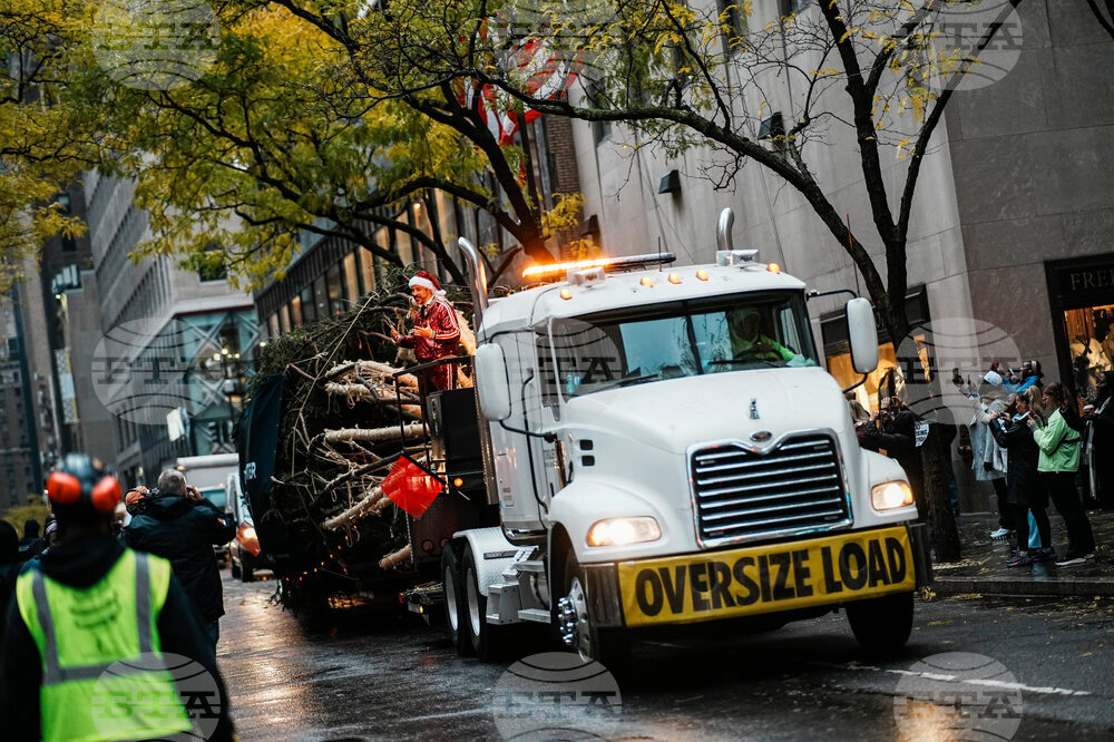 Rockefeller Center Christmas Tree