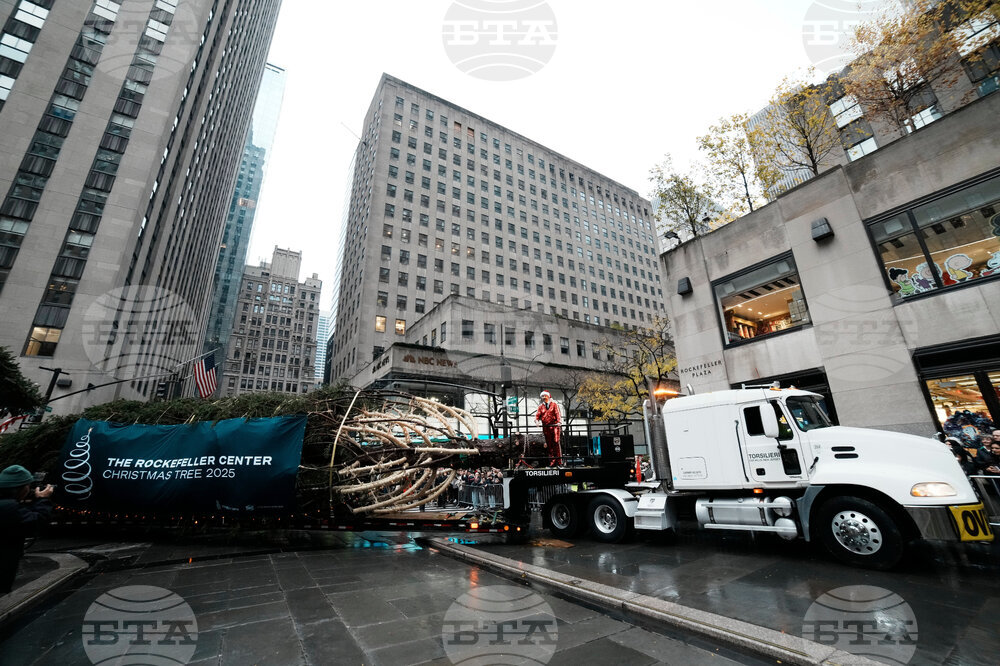 Rockefeller Center Christmas Tree