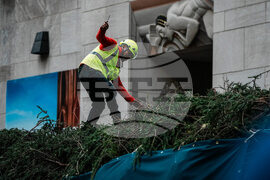 Rockefeller Center Christmas Tree