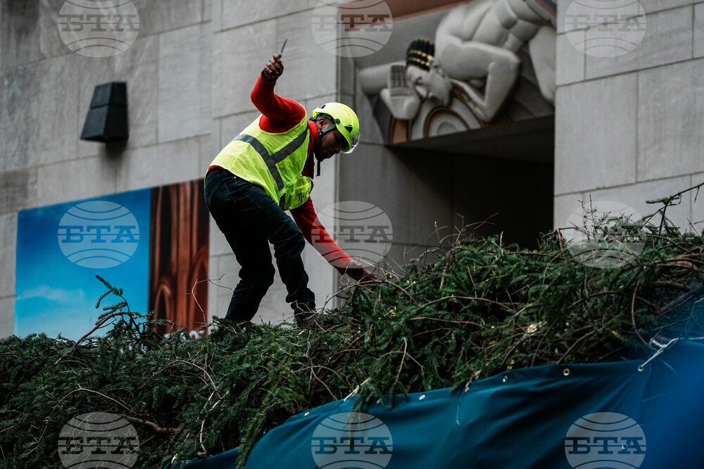 Rockefeller Center Christmas Tree