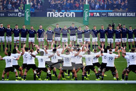 Scotland New Zealand Rugby