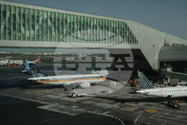 Government Shutdown Airlines