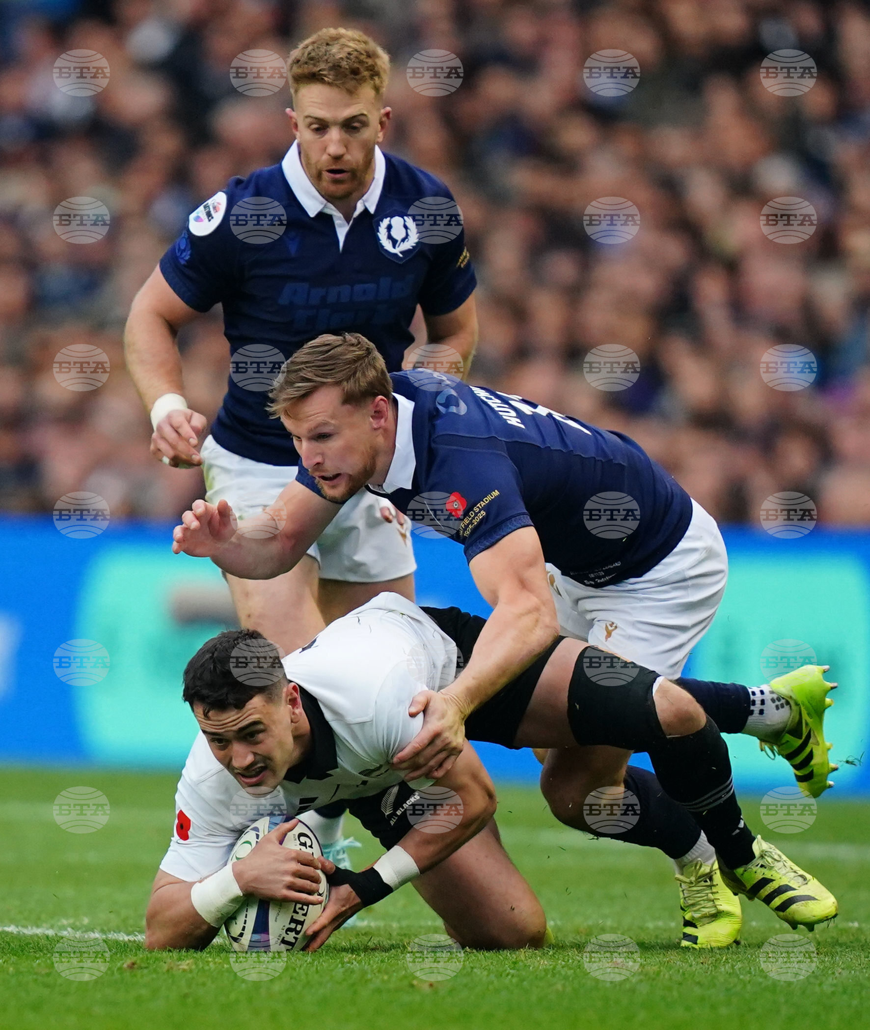Scotland New Zealand Rugby