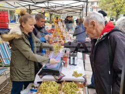 Ямбол – Регионално фермерско-занаятчийско изложение