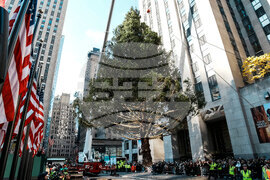 Rockefeller-Center-Christmas-Tree