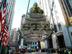 Rockefeller-Center-Christmas-Tree
