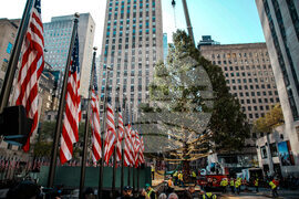 Rockefeller-Center-Christmas-Tree