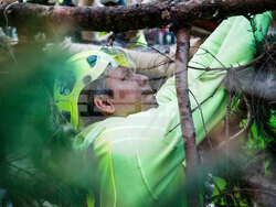 Rockefeller Center Christmas Tree