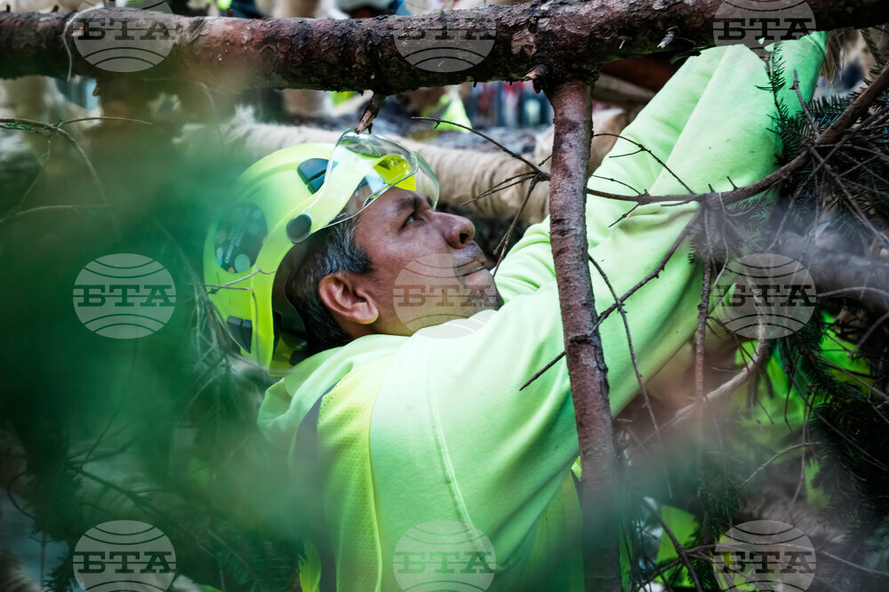 Rockefeller Center Christmas Tree