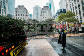 Rockefeller Center Christmas-Tree