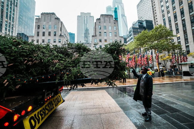 Rockefeller Center Christmas-Tree