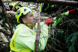 Rockefeller Center Christmas Tree