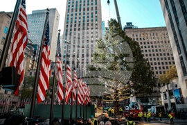 Rockefeller-Center-Christmas-Tree