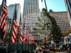 Rockefeller-Center-Christmas-Tree