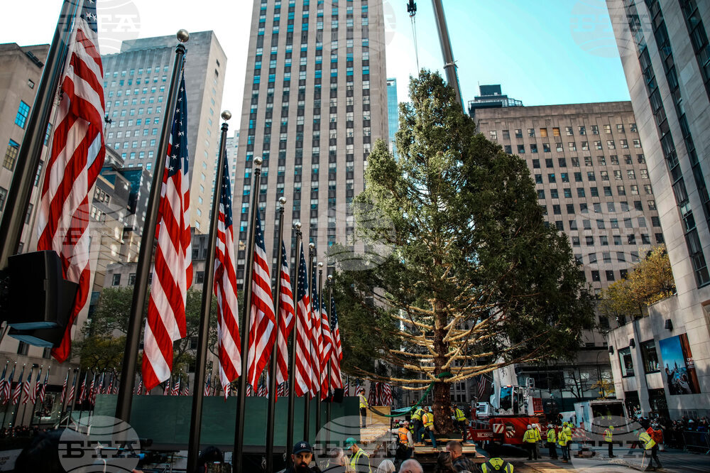 Rockefeller-Center-Christmas-Tree